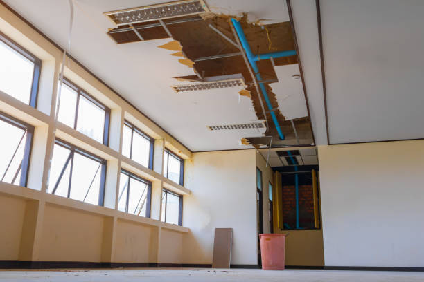 Best Water damage contractors near me  in Jackson, MS