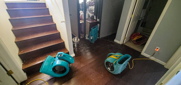 Best Ceiling water damage repair  in Jackson, MS