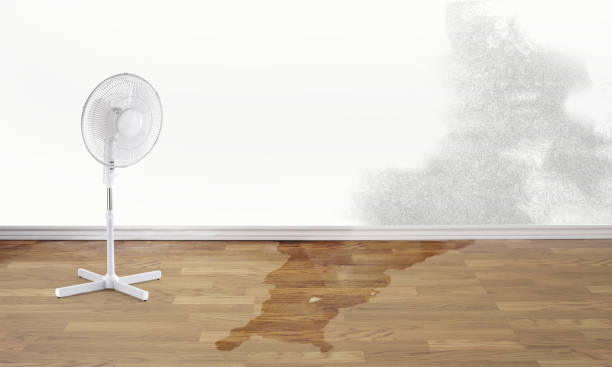 Best Water damage restoration process  in Jackson, MS