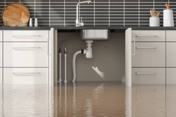 Best Water damage restoration process  in Jackson, MS