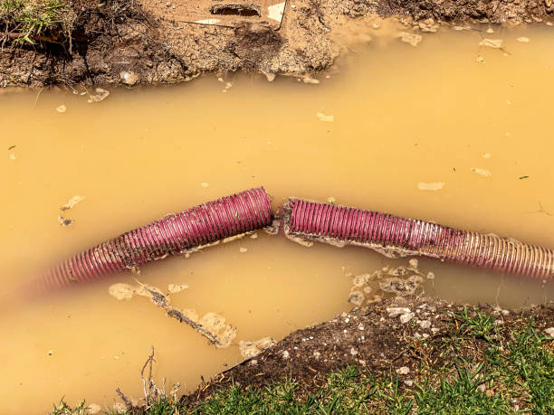 Best Professional water damage repair  in Jackson, MS