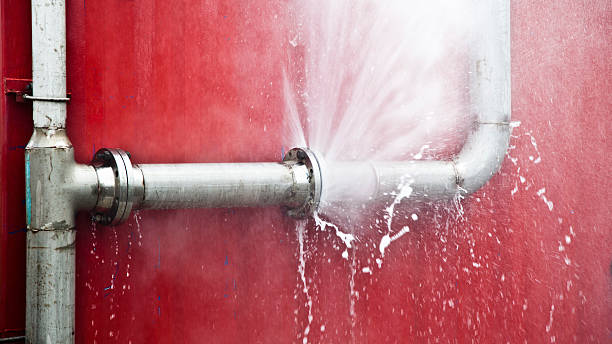 Best Professional water damage repair  in Jackson, MS